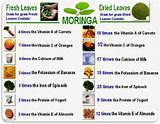 Pictures of Health Moringa Benefits
