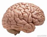 Brain Lesions Symptoms Pictures