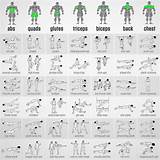 Pictures of Body Weight Strength Exercises