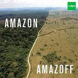 Save The Rainforest Photos