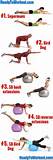 Photos of Pilates Lower Back Exercises