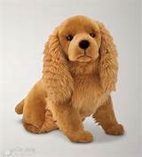 Photos of Stuffed Animal Dog Toys