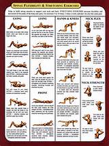 Images of Yoga Exercises For Lower Back Pain