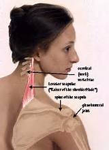 Photos of Upper Back Tumor Symptoms