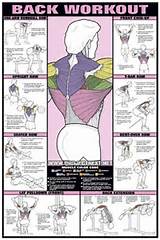 Photos of Workout Back Exercises