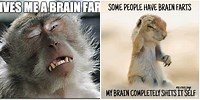 Brain Fart Work Meme