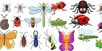 Free Clip Art Insects and Bugs