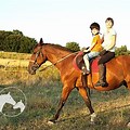 2 People Riding a Horse