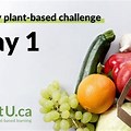 21-Day Plant-Based Diet Challenge