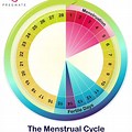 26 Day Cycle Chart