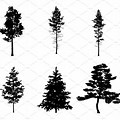 2D Pine Tree Brush Photoshop