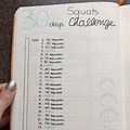 30-Day Challenge Bullet Journal