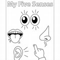 5 Senses Coloring Pages Printable