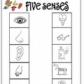 5 Senses Kindergarten Activity Printable