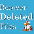 Activity On Restoring Files in the Recycle Bin