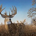 Airbrush Art of Big Bucks