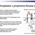 Anaplastic Lymphoma Kinase ALK Inhibitor