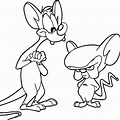 Animaniacs with Pinky and the Brain Coloring Pages