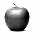 Apple Black and White Photography