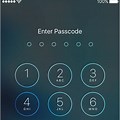 Apple iPhone Passcode Reset