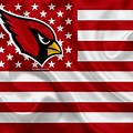 Arizona Cardinals USA Flag