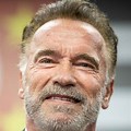 Arnold Schwarzenegger Hair Color
