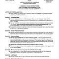 Articles of Organization Arizona LLC Template