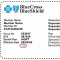 BCBS Insurance Card Example