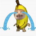 Banana Cat Meme Cry Jpg