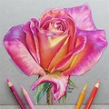 Beautiful Prismacolor Pencil Drawings