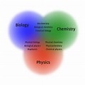 Bio vs Physics Class