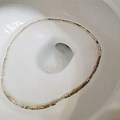 Black Ring Toilet Bowl