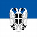 Black White and Gray Serbian Flag
