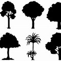 Black and White Tree Silhouette Vector
