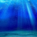 Blue Underwater Background Print