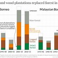 Borneo Deforestation Palm Oil Graph