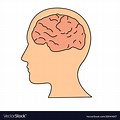 Brain Inside Head Drawing
