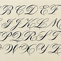 Calligraphy Alphabet Cursive Writing