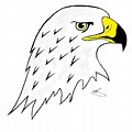 Cartoon Eagle Simple Sketches and Drawings