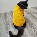 Cat Sweater Knitting Patterns