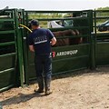 Cattle Race Gates