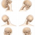 Cervical Spine Movements