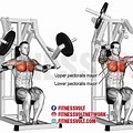 Chest Press Machine Target Muscles