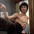 Chinese Martial Arts Bruce Lee