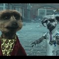 Compare the Market Meerkat Movies