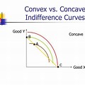 Concave Indifference Curve