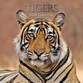 Cool Calendar 2024 Tiger