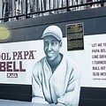 Cool Papa Bell Dudy Noble Field