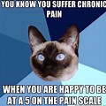 Coping with Chronic Pain Meme