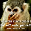 Crazy Funny Short Quotes